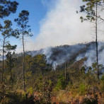 Prisión preventiva para dos hombres por deforestación en el Parque Nacional Valle Nuevo