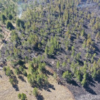 Medio Ambiente informa incendio forestal en Valle Nuevo “se encuentra en fase de liquidación”
