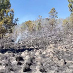 Bomberos forestales exigen mayor condena a culpables de incendios