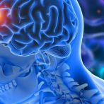 Hábitos cotidianos mejoran la salud cognitiva en mayores, según estudio realizado en latinoamérica