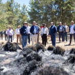 Abinader constata daños de incendios forestales