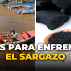 IDEAS PARA ENFRENTAR EL SARGAZO: DESDE COMIDA PARA ANIMALES A BLOQUES DE CONSTRUCCIÓN Y COMBUSTIBLE