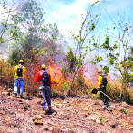 Apagan fuegos forestales y lo que ganan no les da para vivir