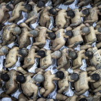 Petro pide a Bukele que le entregue a los colombianos que están presos en El Salvador