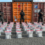 ¿Cómo la red que se vincula al exregidor de Boca Chica introducía drogas a Caucedo?