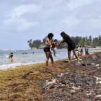 Sargazo trastorna actividades turísticas y comerciales en playas dominicanas