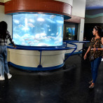 Remozamiento del Acuario Nacional aun no inicia