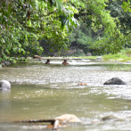 Arroyos de La Cuaba son parte de las áreas protegidas del Parque Nacional Loma Los Siete Picos