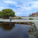Muertes de peces en Azua pudo ser provocada por contaminantes químicos y descomposición del sargazo