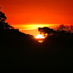 Las emisiones de carbono de la Amazonía se duplicaron en los primeros años de Bolsonaro