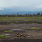 Crisis climática es 