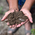 Crisis del agua recortará ingresos al Canal de Panamá por hasta USD 700 millones