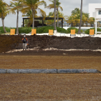 RD exporta sargazo hacia Finlandia para creación de cosméticos