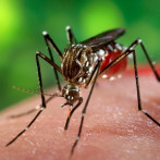 Salud Pública descarta cólera en Barahona y afirma una disminución en casos de dengue en el país