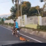 Motorista es captado en cámara arrastrando un perro en Hato Mayor