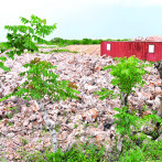 “Quiero cuentas claras”