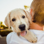 Un pacto que necesita apoyo para bienestar de los animales