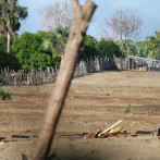 Medio Ambiente promete reforzar defensa en Dunas