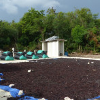 Investigación de Unapec busca solución al problema de sargazo