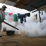 Disminuyen casos de dengue, leptospirosis y malaria, aunque persiste el peligro de propagación