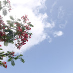 Vaguada provocará aguaceros locales con tormentas eléctricas al interior