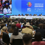 Instan a invertir más para proteger la biodiversidad