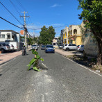 “Adornado” y no con arbolito, así está la Doctor Delgado casi Independencia