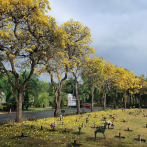 Parque Cementerio Puerta del Cielo: Un canto a la naturaleza