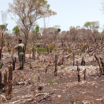Ministro afirma que es crítica la situación medioambiental en el país