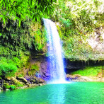 Sábana Grande de Boyá: un destino que trabaja para recuperar su poderío natural
