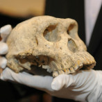 Un cráneo de un millón de años hallado en China podría reescribir la historia de la evolución humana