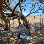 Plan de vigilancia y protección de Dunas de Baní deja brechas de alto riesgo