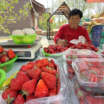 Yogurt y frutas: Complemento ideal para una buena salud femenina