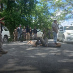 Comunitarios se lanzan a las calles para evitar que equipos de Barrick Gold corten árboles en río de Cotuí