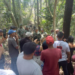 Motosierristas de la Barrick Gold continúan desmonte de árboles en Zambrana