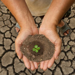 Cambio climático recibe menos del 10% del gasto ambiental en RD, según la ONE