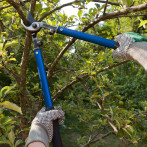 Prevenir antes de lamentar: cómo reducir los riesgos ante la temporada ciclónica