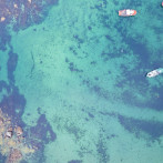 'El Niño' y 'La Niña' alteran el equilibrio de los ecosistemas marinos y la pesca