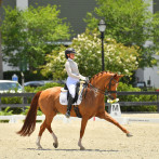 Binomio Stephanie Engstrom y Disaronno arrasa en Wellington