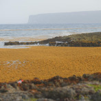 La lucha de República Dominicana contra el aumento sargazo en sus famosas playas