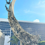 En Medellín, puntos icónicos: Monumento a la Raza y Pájaro Herido