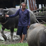 Reunión de paz entre Camboya y Tailandia