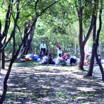 Parques nacionales: refugio de bienestar ante la ola de calor