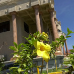 Jurista explica el procedimiento para proteger a víctimas vulnerables en procesos judiciales