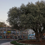 Israel y Hamás negocian en Egipto el fin de la guerra en Gaza bajo el plan de Trump