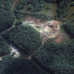 No hay sobrevivientes tras explosión en una fábrica de explosivos en Tennessee, EEUU