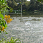 Salcedo reclama rehabilitación de la planta de tratamiento de aguas residuales