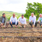 El Intabaco proyecta sembrar 160 mil tareas de tabaco