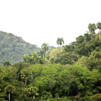Medio Ambiente dice que proyecto minero en San Juan se encuentra en fase de evaluación técnica
