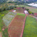 Tormenta Melissa deja beneficios en el Cibao